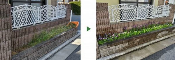 花壇にトレニアとペチュニアを植栽した事例│大阪市平野区 K様