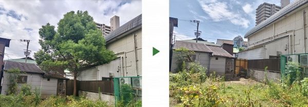 高さ6mのクスノキを伐採した事例│大阪市鶴見区 K様