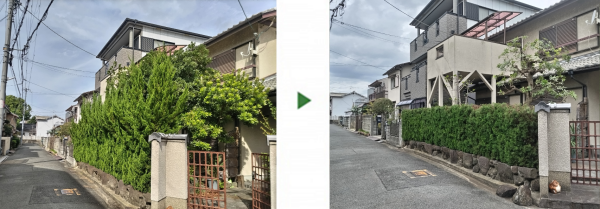 3年間放置したカイヅカイブキの生垣を剪定した事例│大阪市平野区 T様
