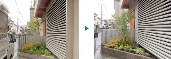 元気のないソヨゴを撤去し、ヤマボウシを植栽した事例│大阪市旭区 T様