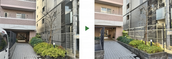 マンションエントランスにあるオタフクナンテン、アベリア、隣の敷地まで枝が伸びたハナミズキを剪定した事例│大阪市大正区 Tマンション様