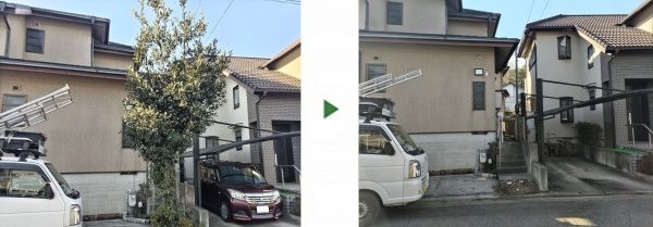 隣家のカーポートの屋根に接触していた月桂樹を伐採した事例│奈良県奈良市T様