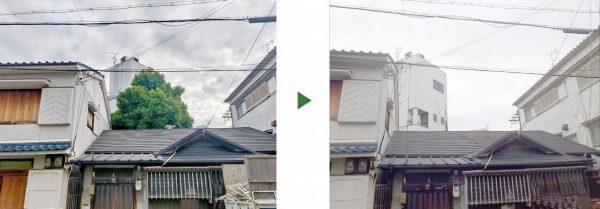 4畳半程の狭いスペースにある高さ13mのクスノキを伐採した事例│大阪市旭区K様
