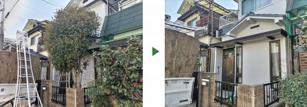 3mの高さがある金木犀（キンモクセイ）を伐採した事例｜大阪市平野区A様