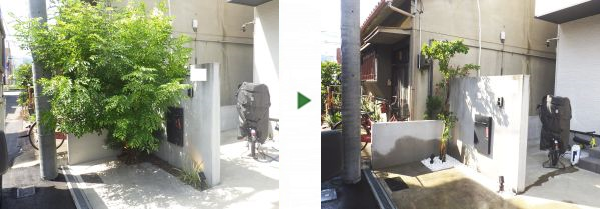 大きく育った植木を撤去し、生長が遅いソヨゴの植栽と砂利敷きをした事例｜大阪市城東区J様