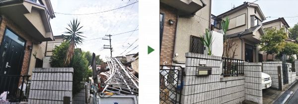 2～3年お手入れをしていなかったキンモクセイとドラセナを剪定した事例｜大阪市生野区J様
