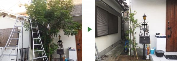 お手入れが大変なシマトネリコからお手入れが簡単なブラシノキへの植替え事例｜大阪市鶴見区T様