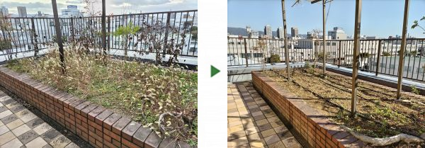 オフィス屋上にある花壇の除草・枯木撤去・下草剪定を実施した事例｜大阪市鶴見区K株式会社様
