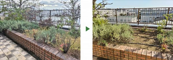 枯れてしまっていた屋上の植木に散水コントローラー・ホースを設置した事例｜大阪市都島区Kマンション様