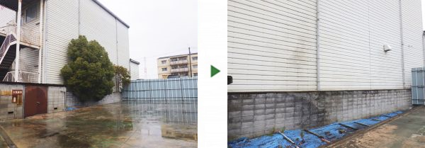 7mのクスノキ1本と5mのネズミモチ2本を1日で伐採した事例｜大阪市鶴見区株式会社M様