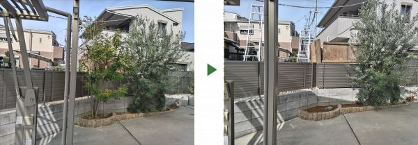 根が塀の外側まで伸びてしまっていたシマトネリコを伐採・抜根した事例｜大阪市平野区T様