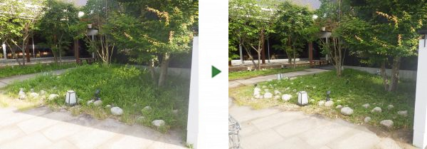 店舗のオープン時間までに50㎡の植え込みの雑草除去と笹の剪定を実施した事例｜大阪市都島区Y様
