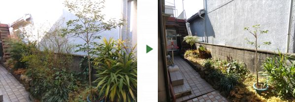 2～3年維持できるように高さ1.5mのモチノキや高さ1mのソテツを1人2時間で剪定した事例｜大阪府大阪市大正区T様