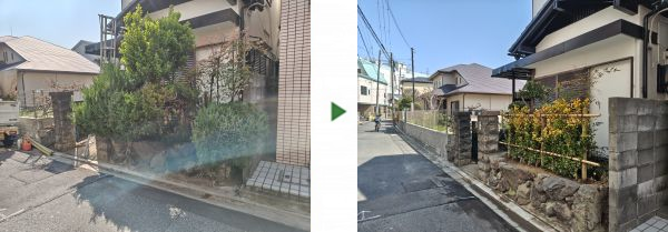 石垣からはみ出てしまったシダレモミジとマサキの剪定・カイヅカイブキの伐採とオウゴンマサキの植栽を1人1日で実施した事例｜大阪市淀川区T様