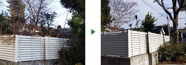マンションに植えられたセンダンを伐採　茨木市