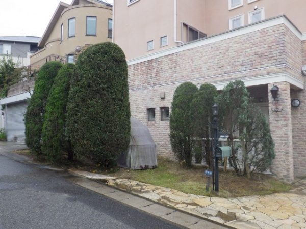 吹田市で植木の剪定と支柱設置をした事例 施術後