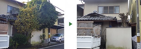 グミノキなど空き家で放置された植木を剪定　京都府宇治市