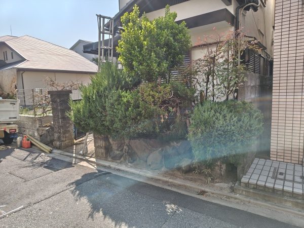 石垣からはみ出てしまったシダレモミジとマサキの剪定・カイヅカイブキの伐採とオウゴンマサキの植栽を1人1日で実施した事例|大阪市淀川区T様(作業前)
