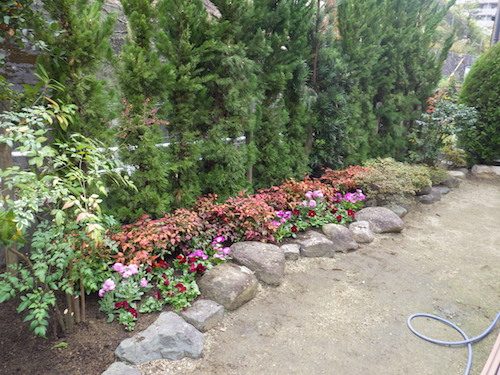 花植栽・剪定後