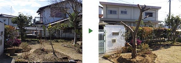 大きな栗の木の移植～和歌山市から滋賀県大津市へ～