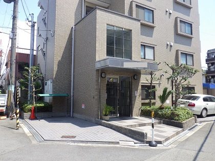 植木剪定後