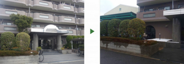 マンション植え込みのクスノキを伐採│剪定と砂利敷きで外観を整えた事例　大阪市西淀川区