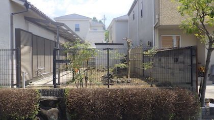 手入れ後の庭の写真