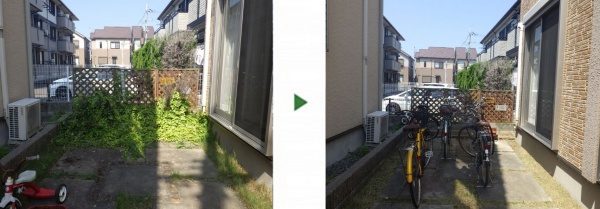 ご自宅の生い茂った蔓（つる）と切り株（ゴールドクレスト）の抜根｜すっきり綺麗にしてほしい　大阪市天王寺区