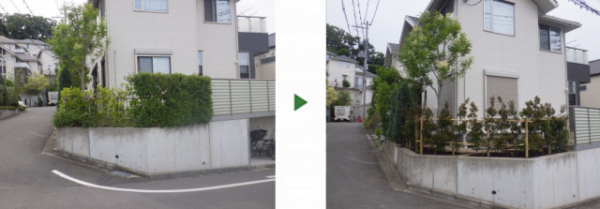 住宅前の生垣を撤去し15本のヒメシャリンバイを植栽した事例│大阪府豊中市T様