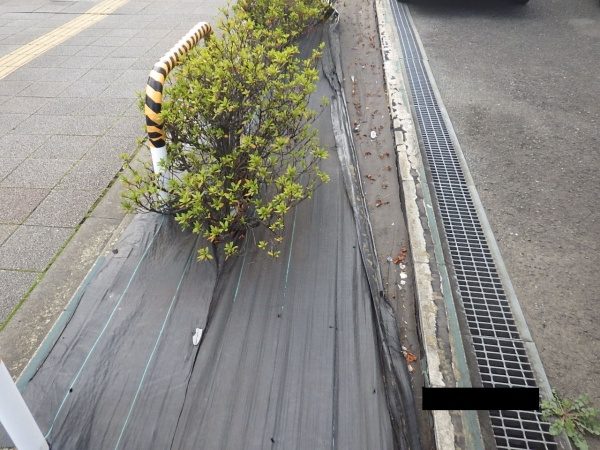 剥がれてきてしまった防草シートの張替えを実施した事例｜大阪市住吉区T株式会社様（作業前）