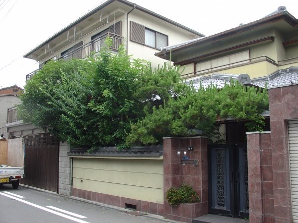 植木剪定前