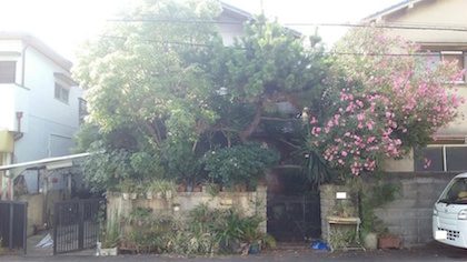 剪定前のお庭