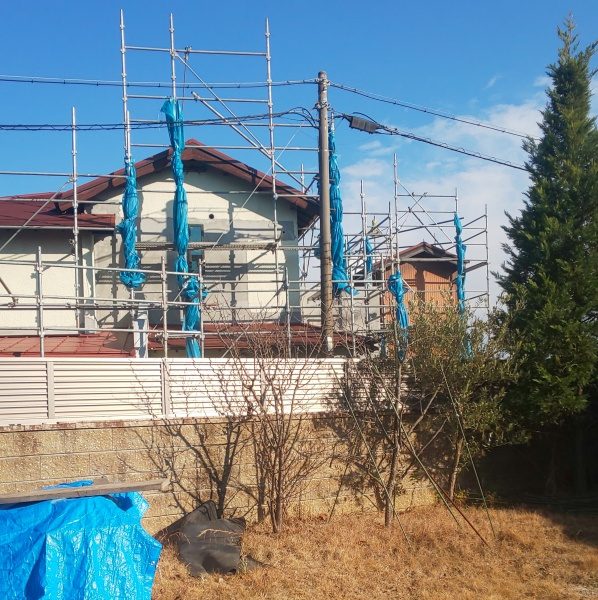 ウメとオリーブの木を移植、レイランディーとゴールドライダーの庭木を植栽した事例｜吹田市K様