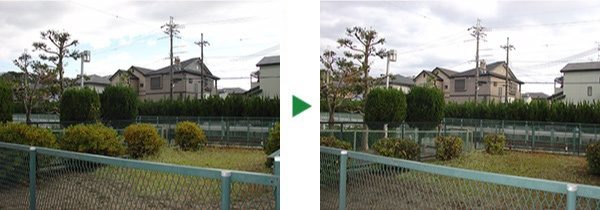 マンション自治会からのご依頼～剪定～大阪府枚方市