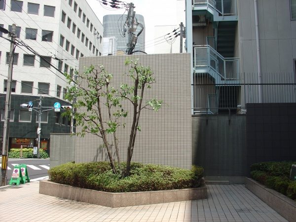 植木剪定