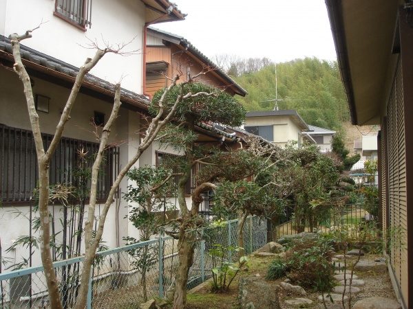 奈良市植木剪定作業後1
