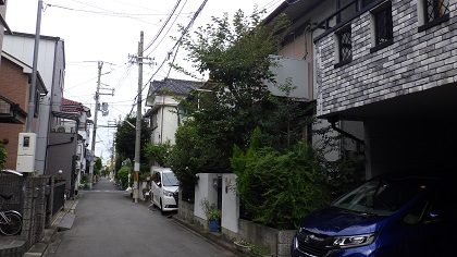 遠方の空き家の庭