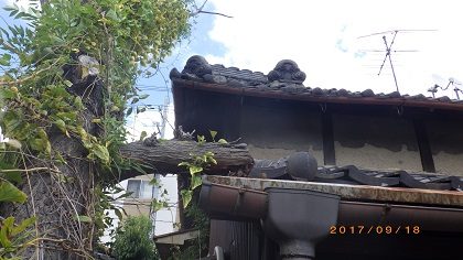 撤去作業前