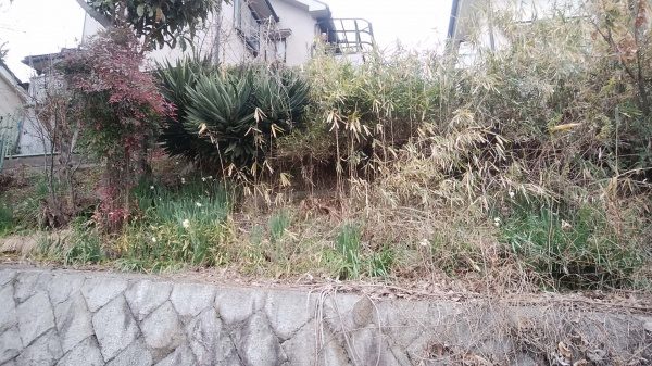 斜面での伐採作業｜斜面での家の屋根に注意し伐採作業　大阪府枚方市