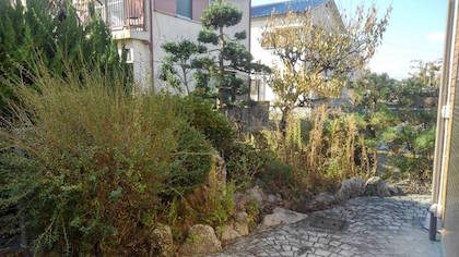 作業前の庭