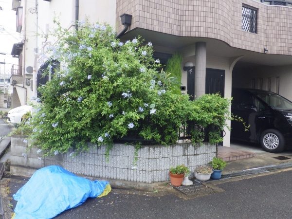 作業前