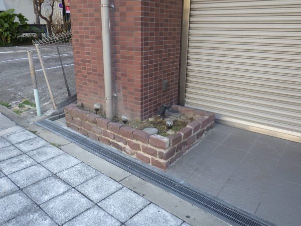 オタフクナンテン 作業後