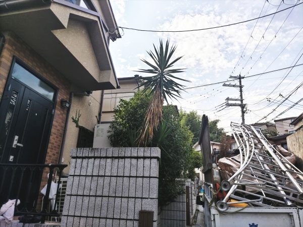 2～3年お手入れをしていなかったキンモクセイとドラセナを剪定した事例｜大阪市生野区J様（作業前）