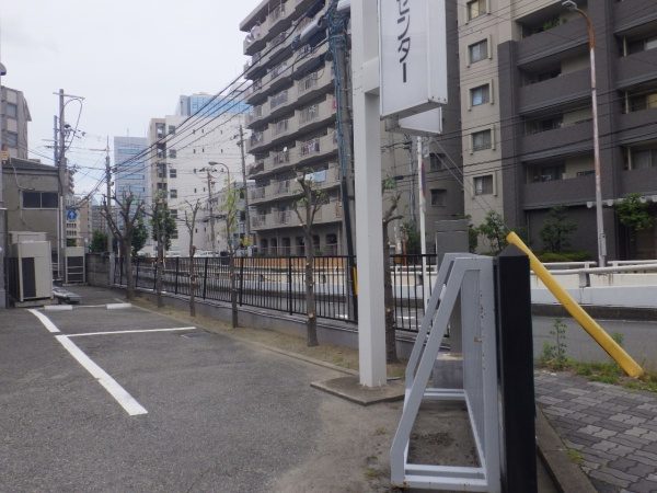 シラカシ剪定