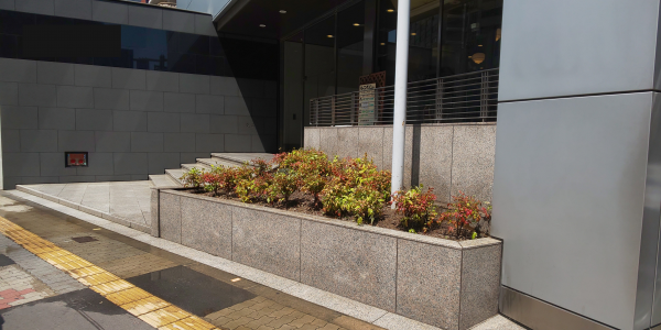 作業後　会社前　オタフクナンテン