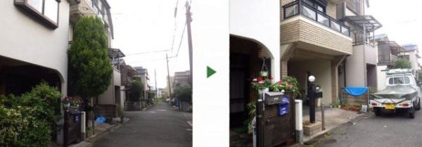 一戸建てに生えた、7mの巨大なゴールドクレストを伐採した事例│大阪府寝屋川市A様