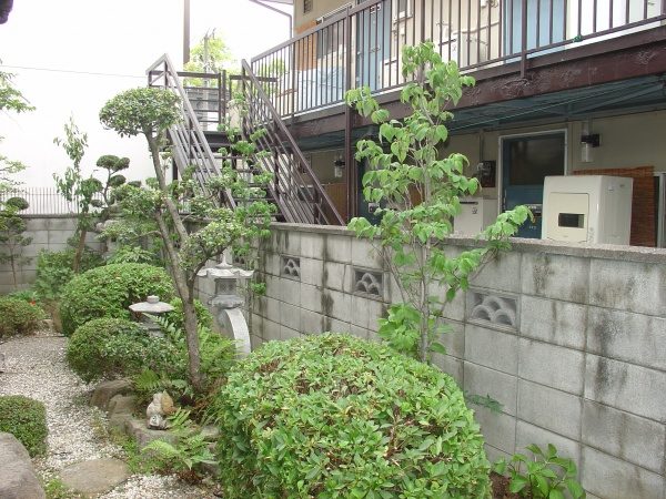 ハナミズキ