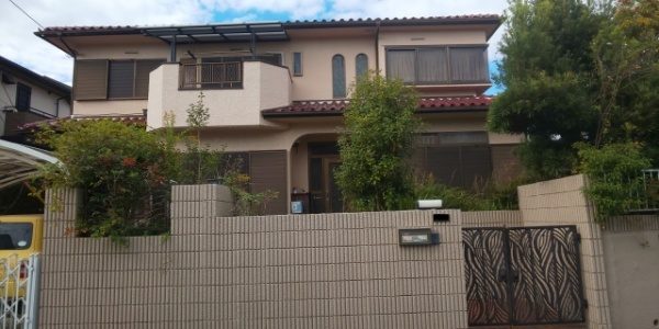 クロガネモチやマキの気を空き家で剪定した事例　作業前2