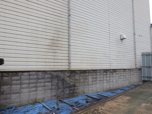 7mのクスノキ1本と5mのネズミモチ2本を1日で伐採した事例｜大阪市鶴見区株式会社M様（作業後）