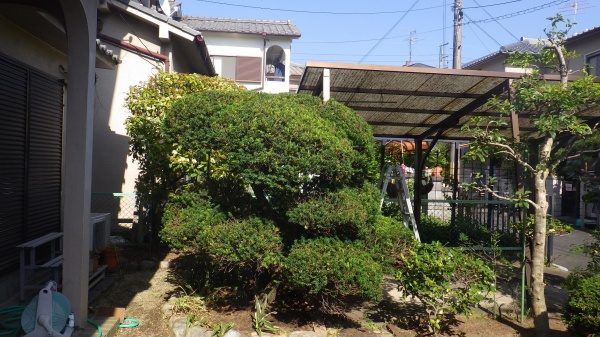 空き家の剪定・草刈り 作業後